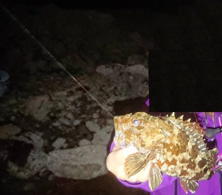 そろそろメバルは終ですね